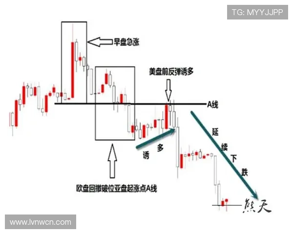 防守圆柱体扩展的具体规则是如何判定的？新手必看